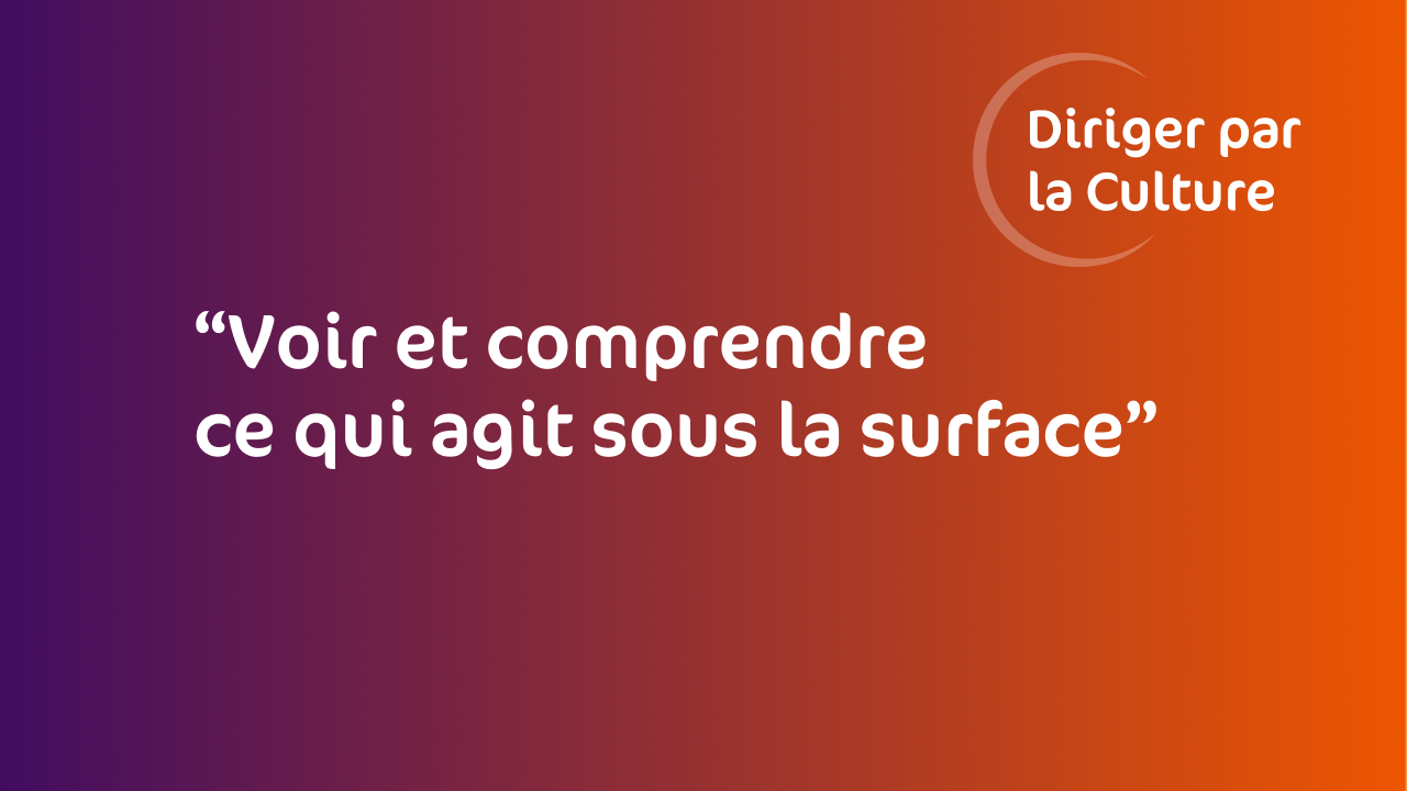 Diagnostic de cohérence culturelle